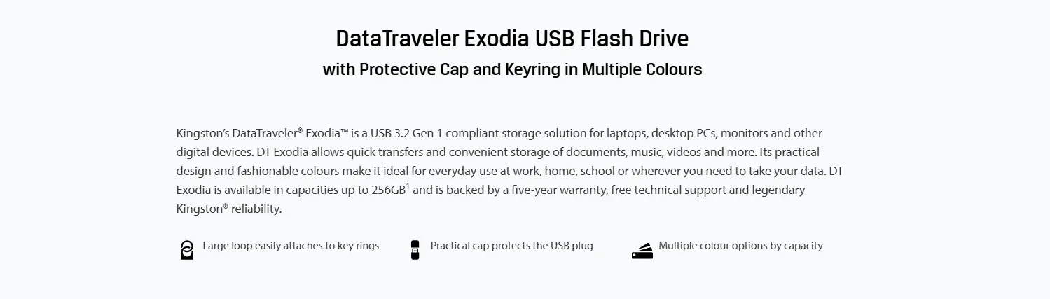 فلاشة Kingston DataTraveler Exodia سعة 128GB بمنفذ USB-A 3.2