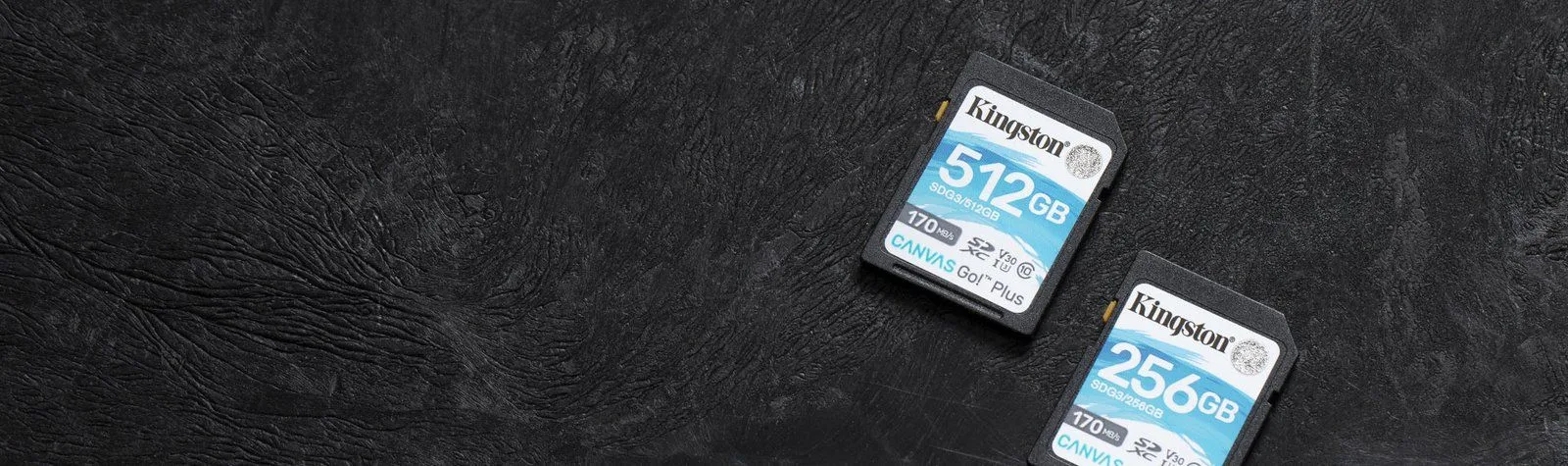Kingston 128GB SDXC Memory Card Canvas Go Plus 170MB/s UHS-I C10 U3 V30