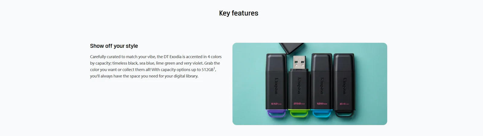 Kingston 256GB DataTraveler® Exodia™ G2 USB A 3.2 Gen 1 Flash Drive