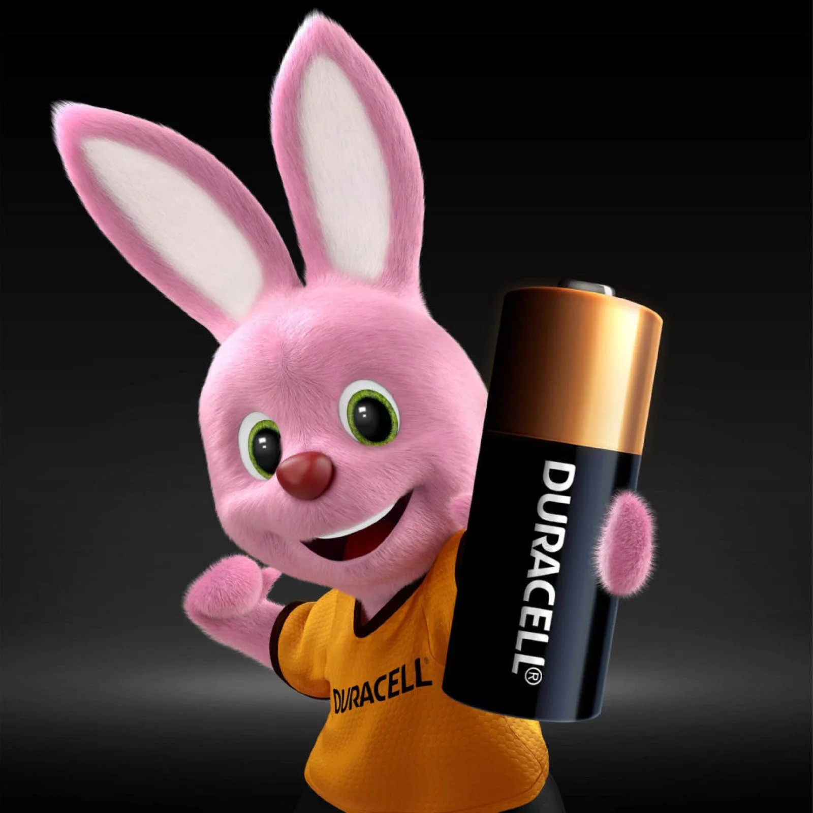 DURACELL AAx2 ALKALINE LR6 Batteries 1.5V / 2-Packs